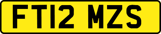 FT12MZS