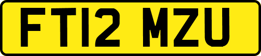 FT12MZU