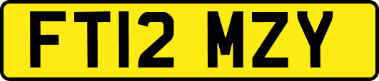 FT12MZY