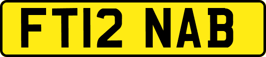FT12NAB