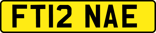 FT12NAE