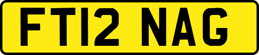 FT12NAG