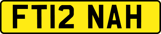 FT12NAH