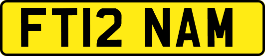 FT12NAM