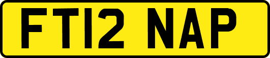 FT12NAP