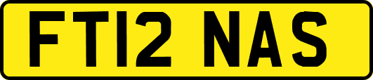 FT12NAS