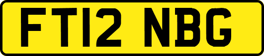 FT12NBG