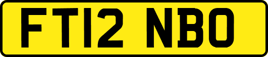 FT12NBO