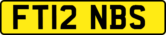 FT12NBS