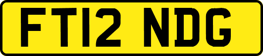 FT12NDG