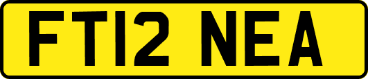 FT12NEA