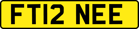 FT12NEE