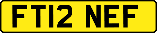 FT12NEF
