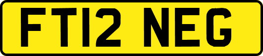 FT12NEG