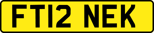 FT12NEK