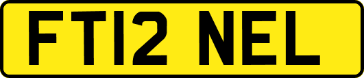 FT12NEL