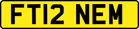 FT12NEM