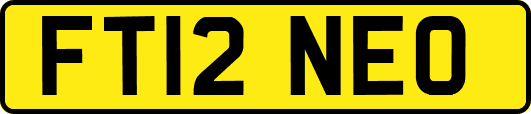 FT12NEO