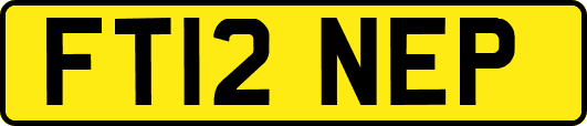 FT12NEP