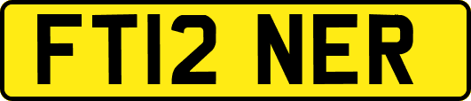 FT12NER