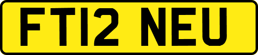 FT12NEU