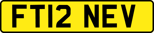 FT12NEV