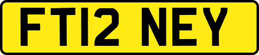 FT12NEY