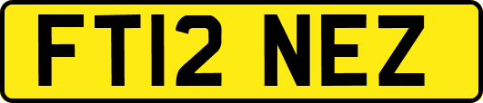 FT12NEZ