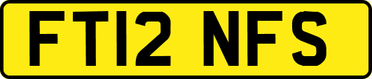 FT12NFS