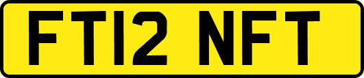 FT12NFT