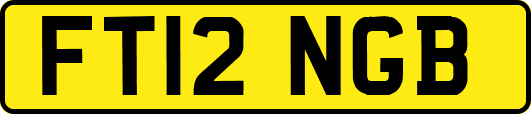 FT12NGB
