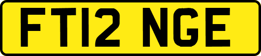 FT12NGE