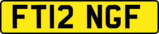 FT12NGF