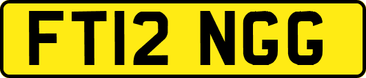 FT12NGG