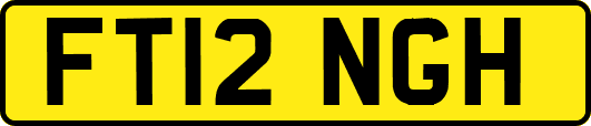 FT12NGH