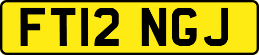 FT12NGJ