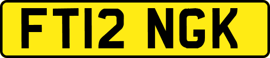 FT12NGK