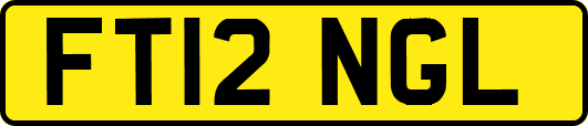 FT12NGL