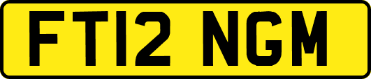FT12NGM