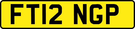 FT12NGP