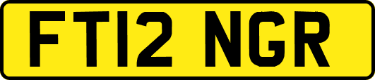 FT12NGR