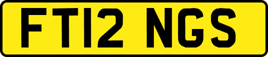 FT12NGS