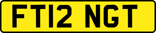 FT12NGT