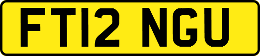 FT12NGU