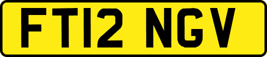 FT12NGV