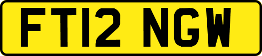 FT12NGW
