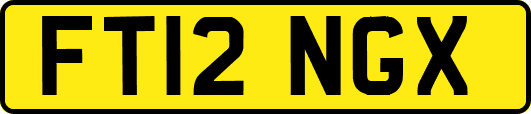 FT12NGX
