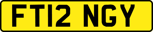 FT12NGY
