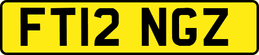 FT12NGZ
