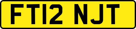 FT12NJT